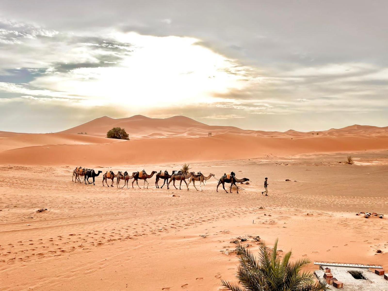 Auberge Ksar Merzouga Buitenkant foto